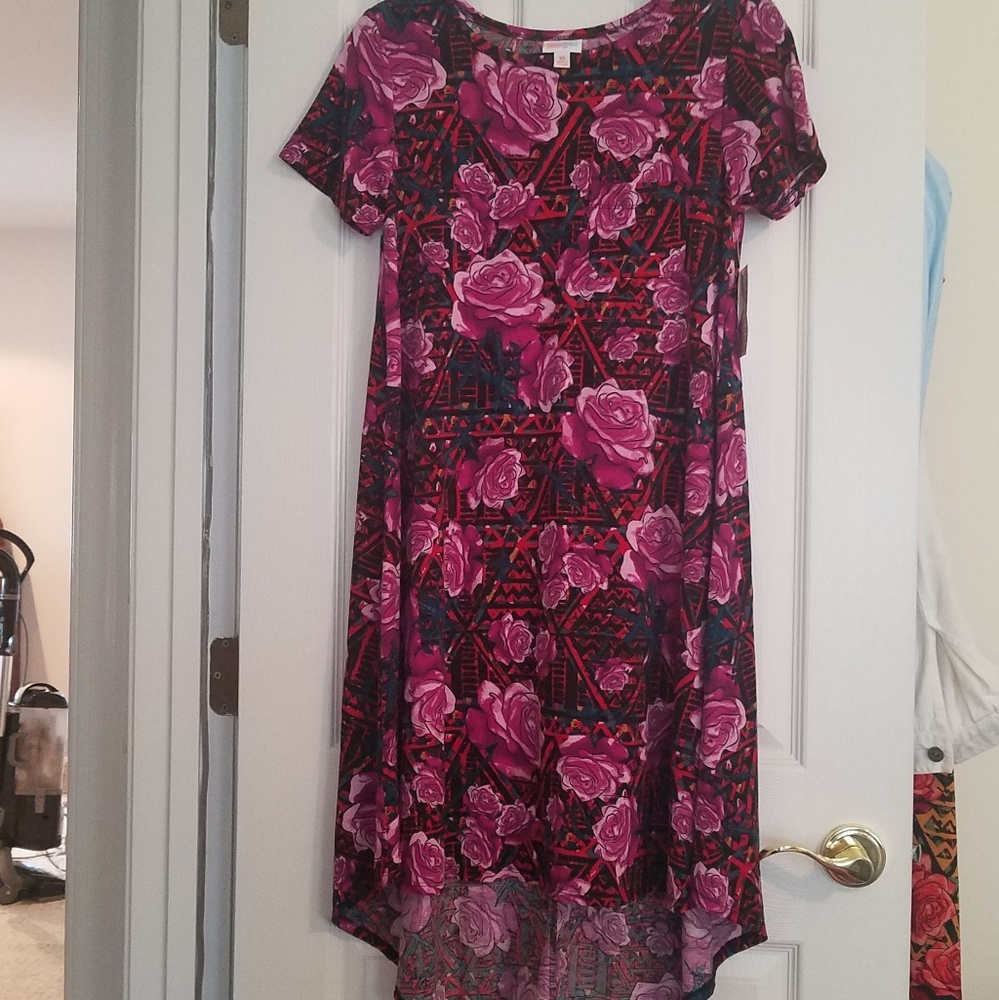 Beautiful XS Carly Dress w/ROSES